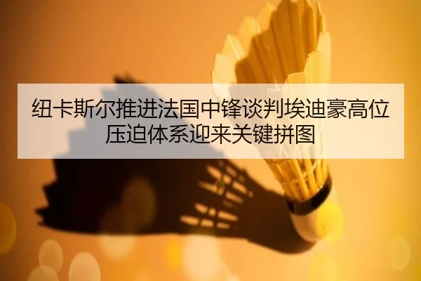 纽卡斯尔推进法国中锋谈判埃迪豪高位压迫体系迎来关键拼图（Fengyun Sports）