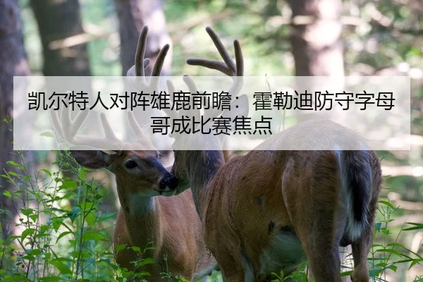 凯尔特人对阵雄鹿前瞻：霍勒迪防守字母哥成比赛焦点