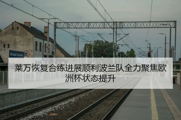 莱万恢复合练进展顺利波兰队全力聚焦欧洲杯状态提升 - Fengyun Sports